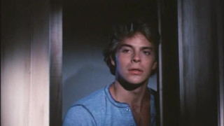 Полнометражная американская порно классика Taboo 3