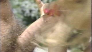 Винтажное ретро порно с инцестом Young and Naughty