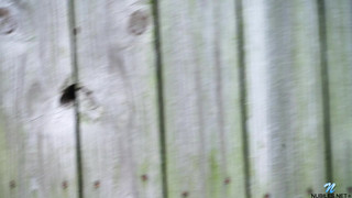 Глупенькая сестричка мастурбирует в прямом эфире